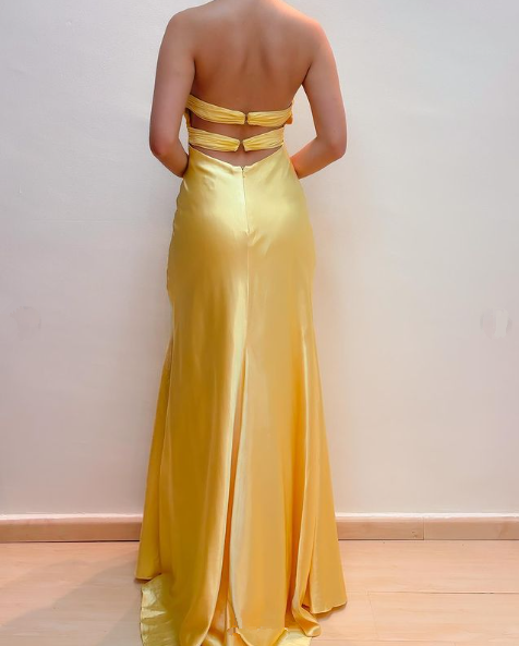 Yellow Prom Dresses V Neck Formal Evening Dress Long Party Dress fg6963