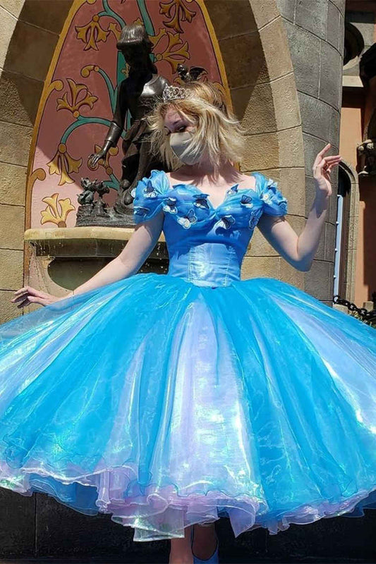 Cap Sleeve Ball Gown Blue Cinderella Dress Organza Birthday Dress