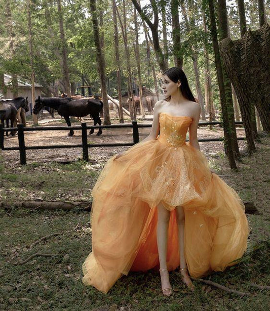 Off-the-Shoulder Orange Tulle Lace High Low Prom Dress Evening Dress